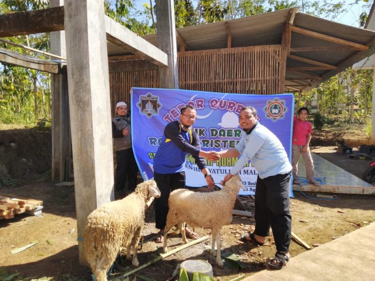 Tebar Hewan Kurban Ar Rohmah; Mulai Daerah Rawan Kristenisasi Hingga Korban Gempa Bumi Lombok
