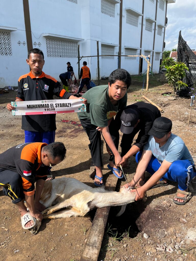Cerita Santri SMP-SMA Ar-Rohmah Putra Sembelih Hewan Kurban Sendiri